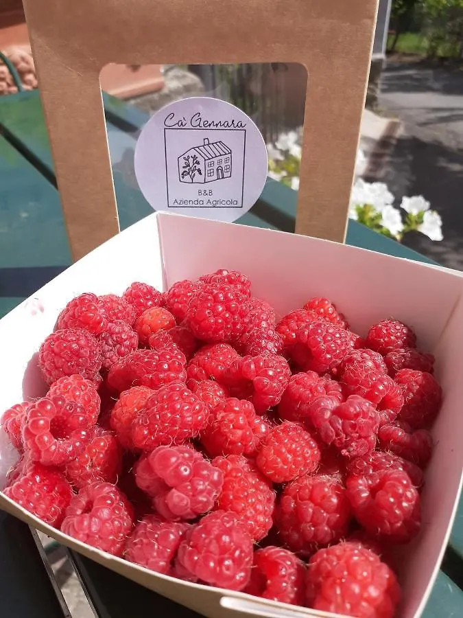 Ca Gennara Agri B&B Porretta Terme 3*,  Itálie