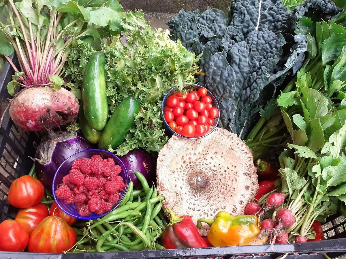 Ca Gennara Agri B&B Porretta Terme