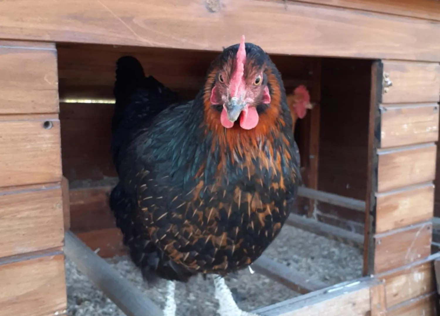 Ca Gennara Agri B&B Porretta Terme 3*,