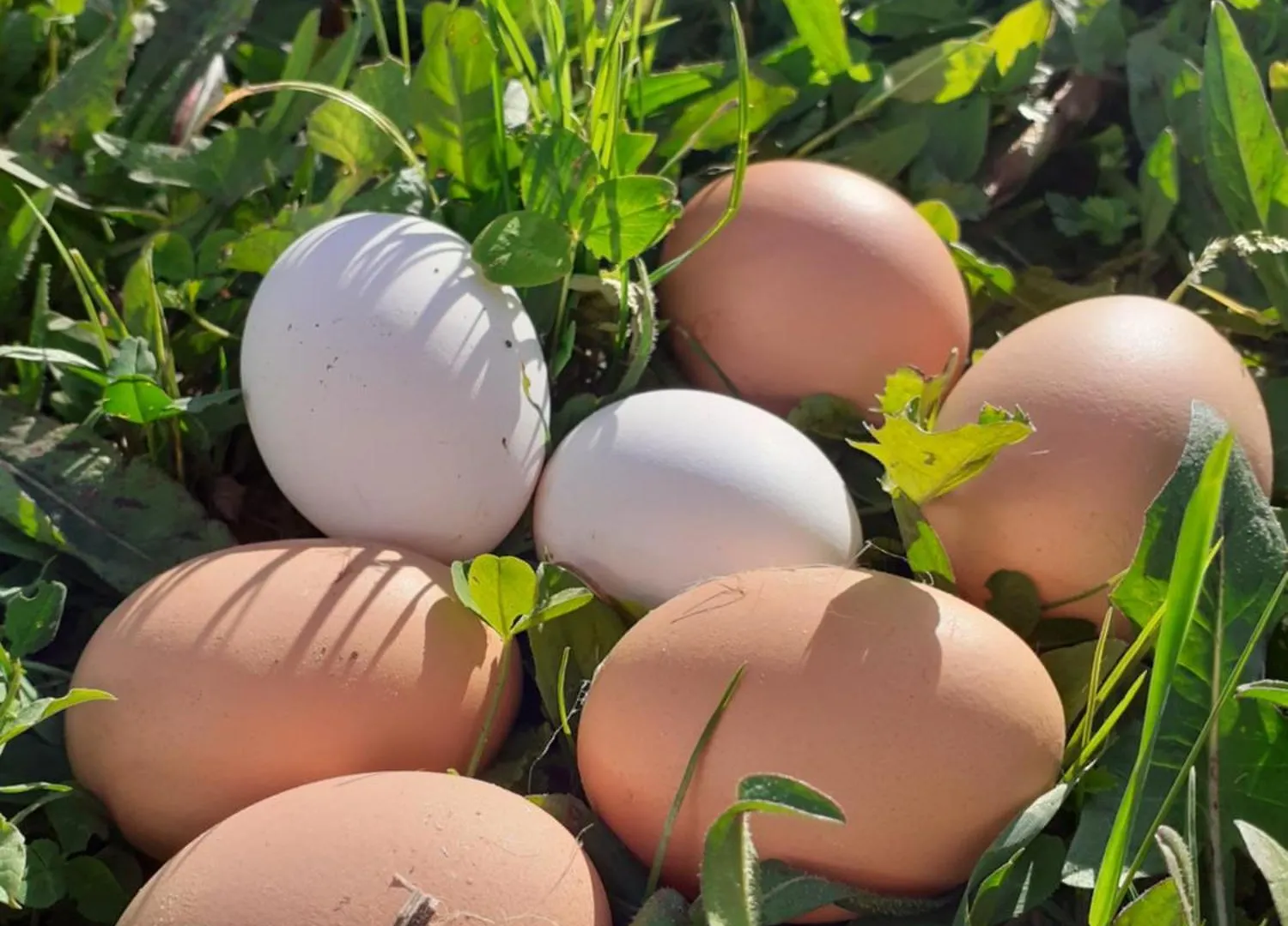 *** Bed & Breakfast Ca Gennara Agri B&B Porretta Terme Italy