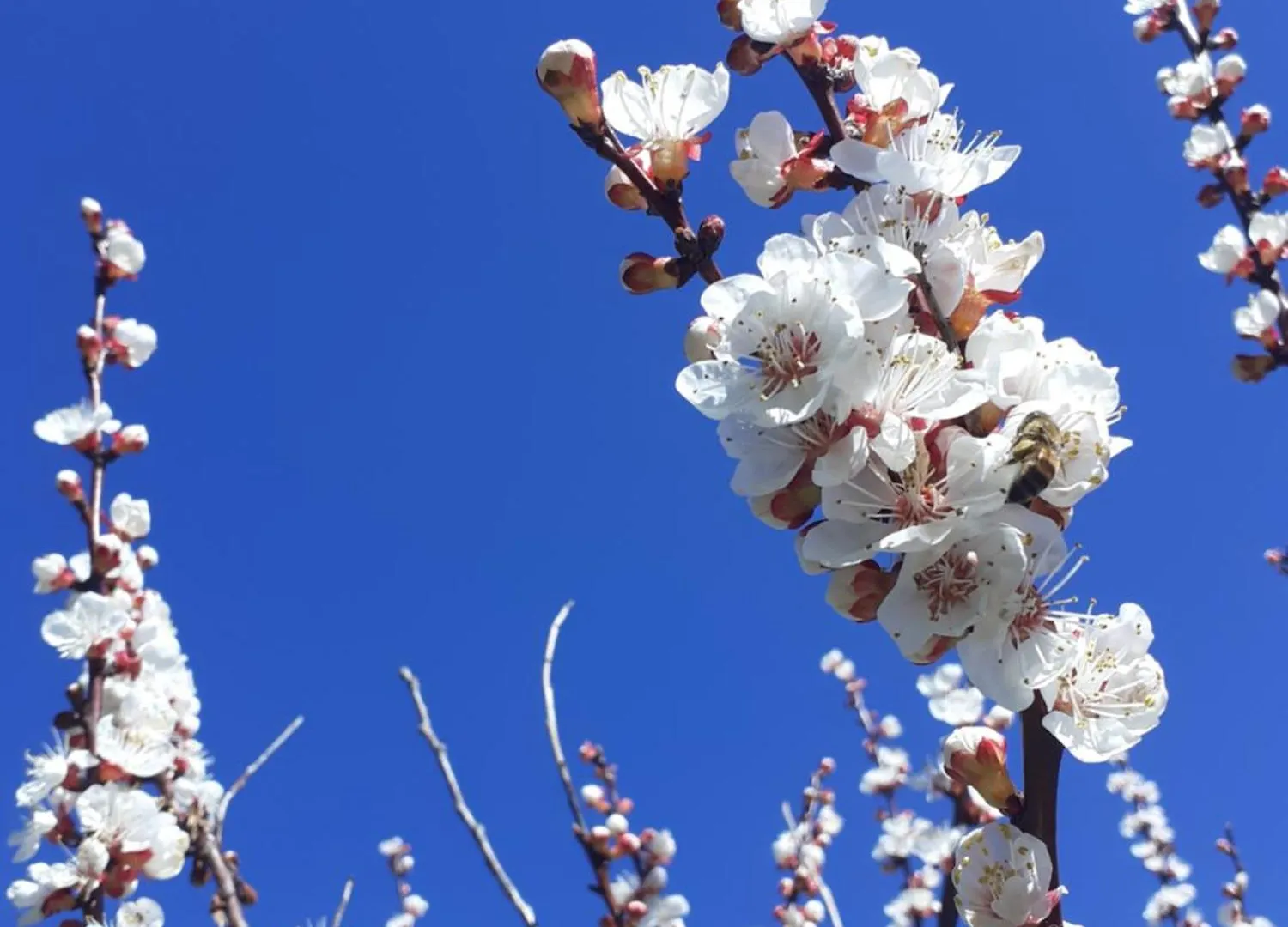 Ca Gennara Agri B&B Porretta Terme Bed & Breakfast